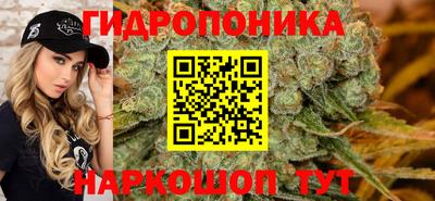 крисы Краснокаменск