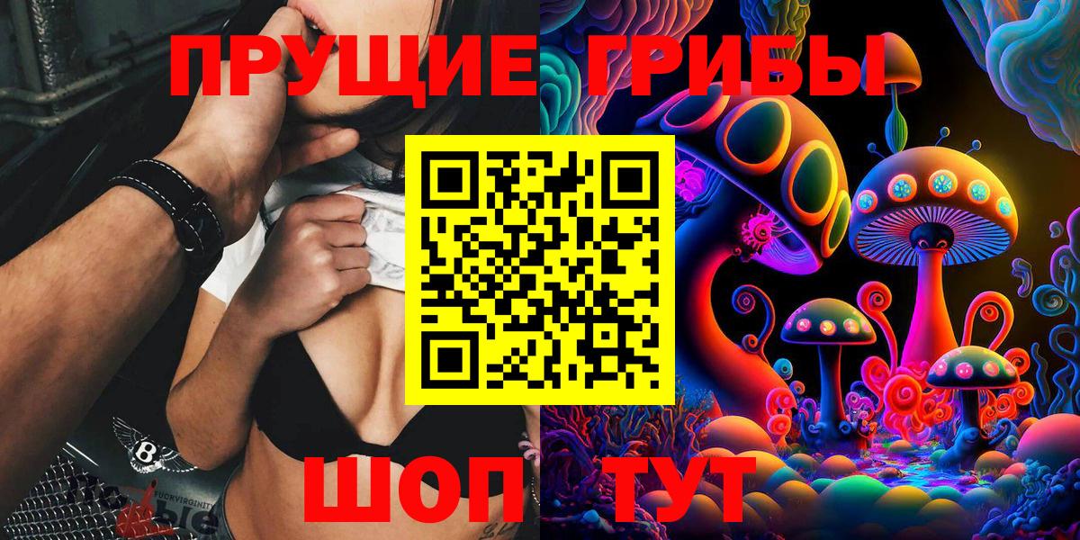 Елизово  Галлюциногенные грибы Psilocybine cubensis  Галлюциногенные грибы Cubensis  Вход с VPN 