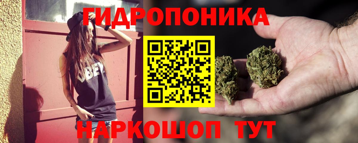 Бошки Шишки Amnesia Елизово
